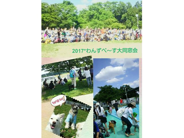 同窓会（わんずぺ～す卒業生の集い）