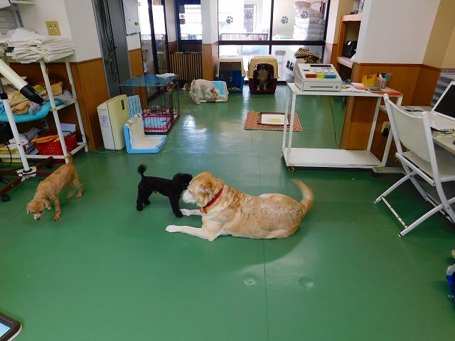 店舗内