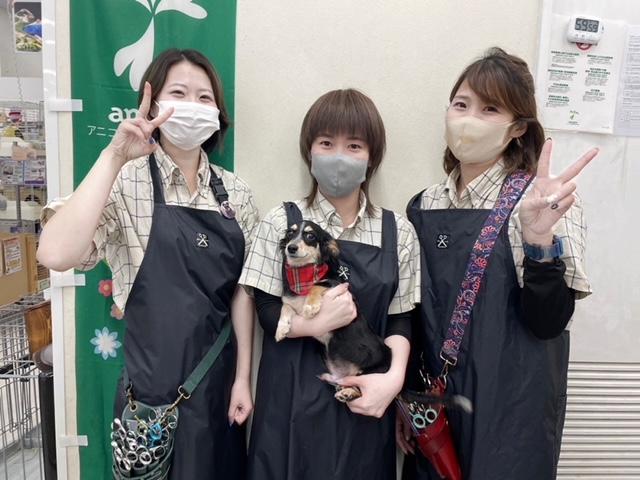 新規オープニングトリミングサロン