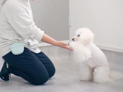 PawParkトレーナーと愛犬ちゃん