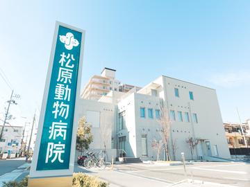 【経験者優遇！】医療事務/最先端動物病院/残業少なめ